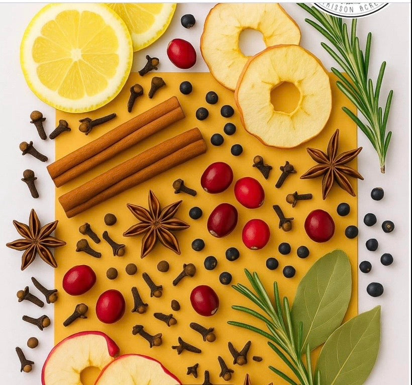 Natures Secrets by Victoria Simmering aromatherapy pot