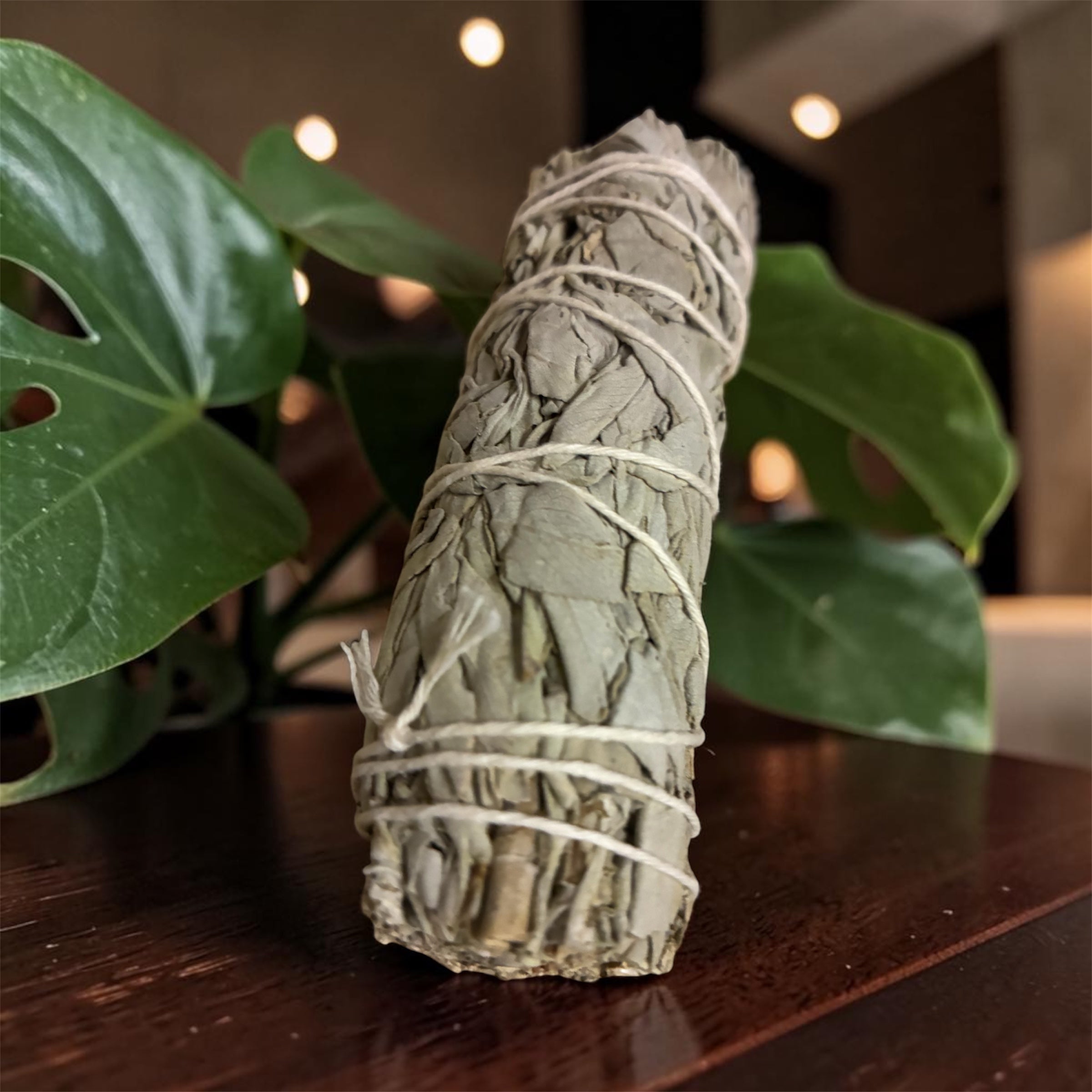 Natures Secrets by Victoria Sage sticks