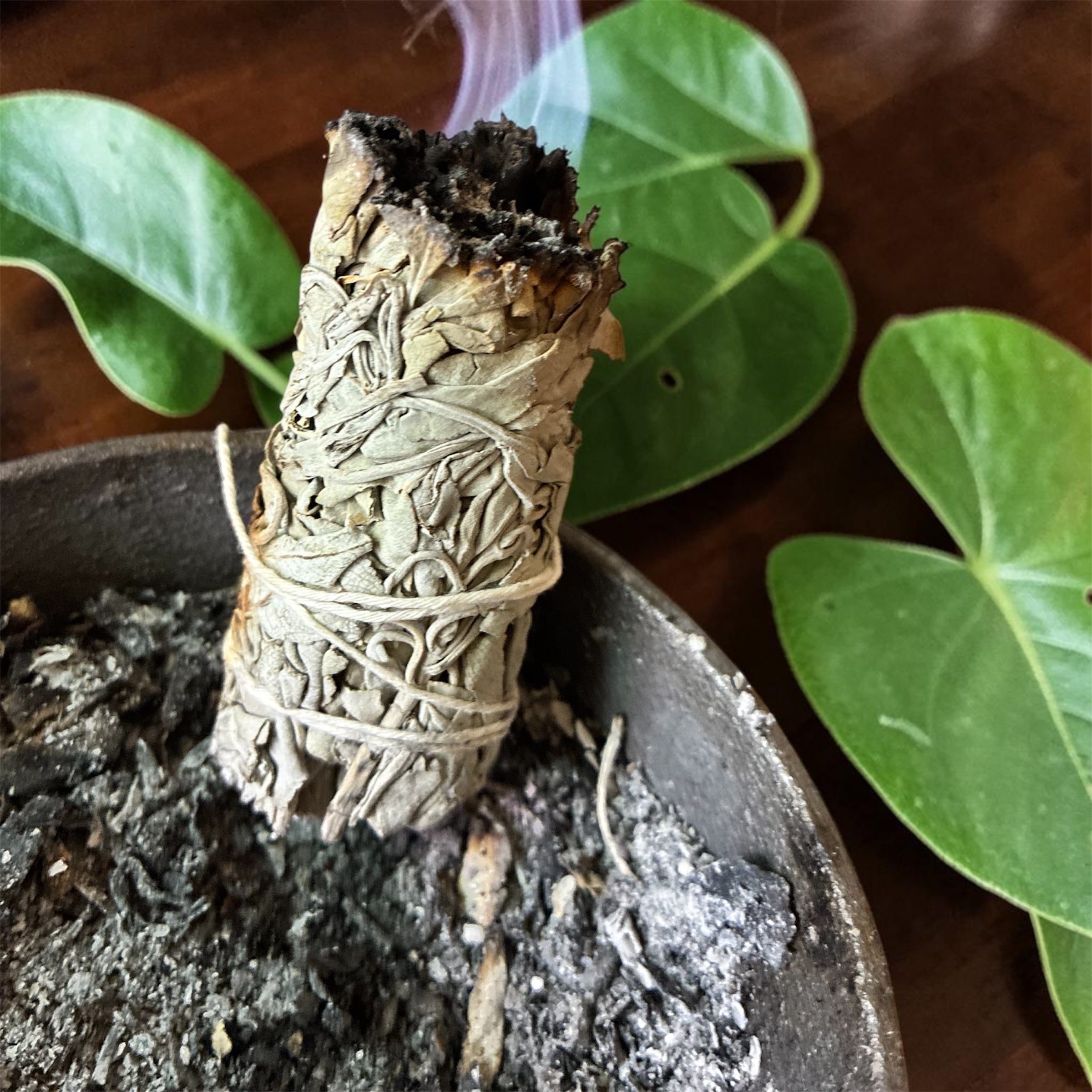 Natures Secrets by Victoria Sage sticks